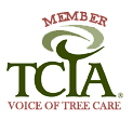 TCIA tree service marketing report